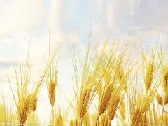 &#38647;&#31454;&#25216;&#40;&#20013;&#22269;&#41;&#23448;&#26041;&#32593;&#31449;&#45;&#30331;&#24405;&#20837;&#21475;